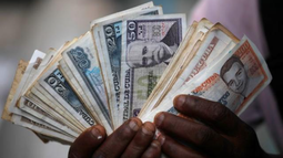 el dolar alcanza los 600 pesos en cuba y marca un nuevo record historico en medio de la crisis economica