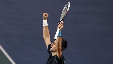 americateve | El serbio Novak Djokovic festeja tras vencer a David Ferrer en la final del Masters de Par&iacute;s el domingo, 3 de noviembre de 2013, en Par&iacute;s. (AP Photo/Francois Mori)