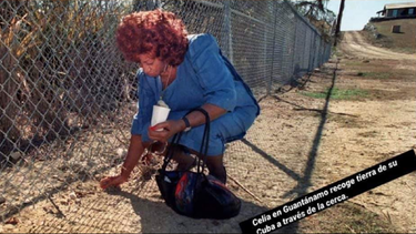 albita rodriguez responde a pitbull con foto de celia cruz