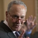 Ley de Schumer exigiría que FBI regule venta de armadura