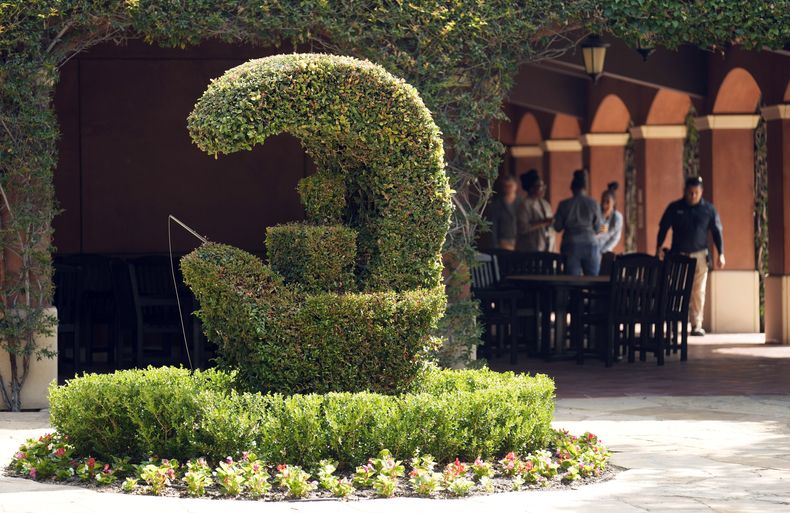 Un arbusto con la forma del logotipo de DreamWorks aparece en la sede de DreamWorks Animation, el miércoles 25 de septiembre de 2024, en Glendale, California. (Foto AP/Chris Pizzello)