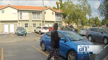 el ninja de west miami tiene aterrorizados a los residentes de ese vecindario