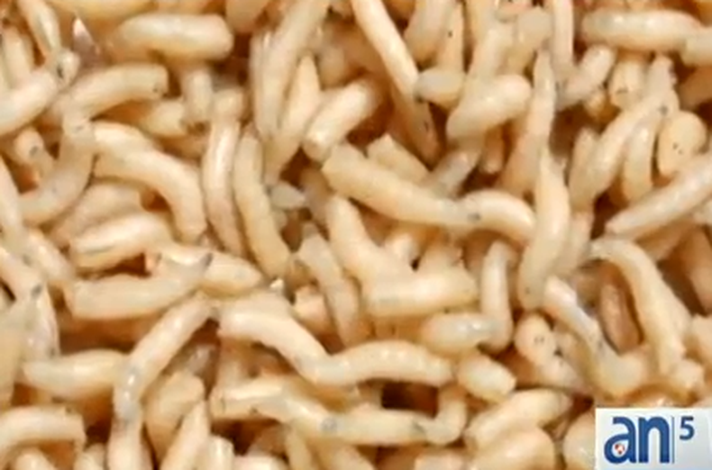 Y ahora tomen nota, padres de familia, porque inhalar dulces se ha convertido en una peligrosa moda entre niños. Así juegan a que se están drogando imitando a los adultos e ídolos de televisión.