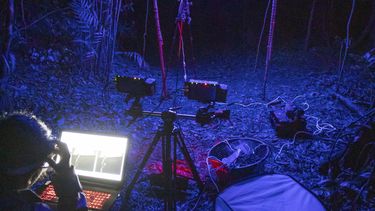 Esta foto de 2022, proporcionada por Samuel Timothy Fabian, muestra los experimentos sobre el efecto de las luces artificiales en los insectos voladores silvestres en el sitio de campo de Monteverde, Costa Rica. (Samuel Timothy Fabian vía AP)