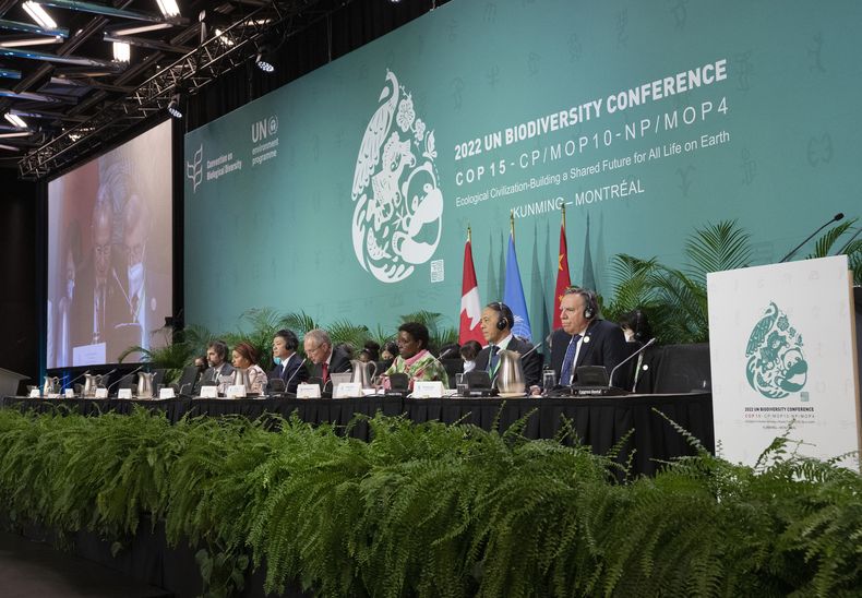 MUN-GEN CANADÁ-ONU-BIODIVERSIDAD