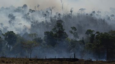 Brasil dice estar controlando los incendios en la Amazonía