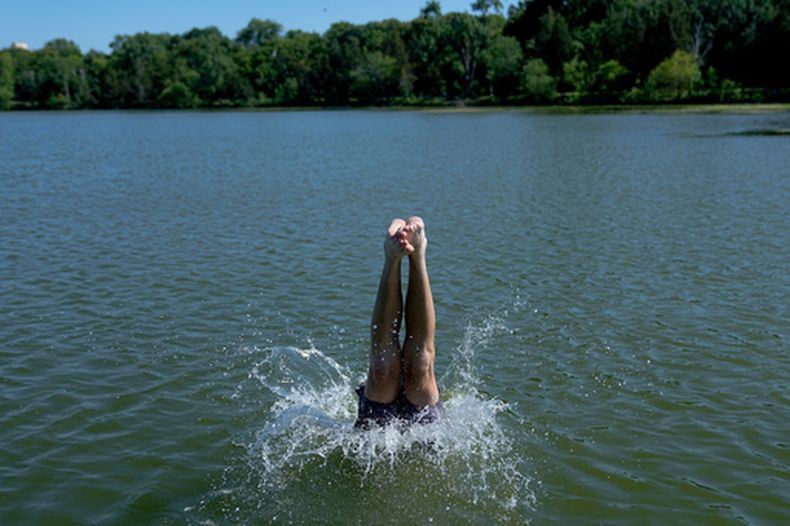 Un nadador se zambulle en el lago Cedar durante una alerta por calor extremo el lunes 13 de julio de 2026, en Minneapolis. (AP Foto/Ellen Schmidt)