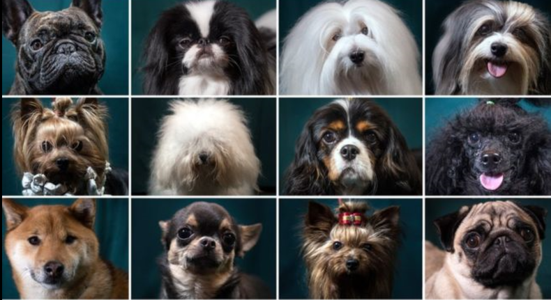 Screenshot (1824).png