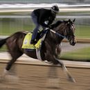 Epicenter es favorito para la carrera Preakness Stakes