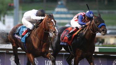 americateve | El jockey mexicano Mart&iacute;n Garc&iacute;a monta a Bayern (derecha) para ganar el Cl&aacute;sico de la Copa de Criadores, superando a Jamie Spencer, jinete de Toast, en Arcadia, California, el s&aacute;bado 1 de noviembre de 2014 (AP Foto/Jae C. Hong)