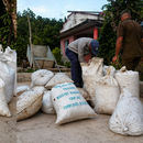 DECOMISAN MÁS DE 100 SACOS DE CAFÉ EN CUBA: LOS OCULTABAN ENTRE CARBÓN EN MEDIO DE LA ESCASEZ