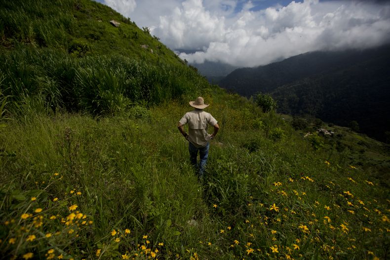 REP-GEN_VENEZUELA-CARDENALITO_RESCATE-1.jpg