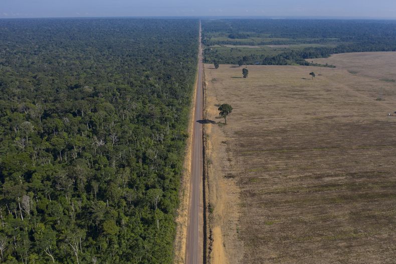 AMS-GEN BRASIL-ALZAMIENTO INVESTIGACIÓN