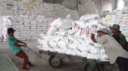 vietnam regala otras 1.200 toneladas de arroz al regimen cubano