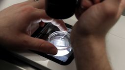 Personal de laboratorio prepara embriones en el Aspire Houston Fertility Institute de Houston, Texas, el 27 de febrero del 2024. (AP foto/Michael Wyke)