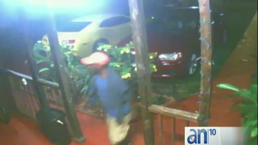 ladron roba pajaros en su jaula en casa de la pequena habana