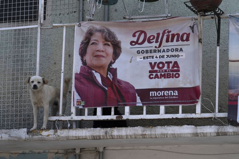 Un perro junto a una pancarta electoral que promociona a la candidata a gobernadora de Morena Delfina Gómez, en Nezahualcóyotl, México, el sábado 27 de mayo de 2023. (AP Foto/Marco Ugarte)