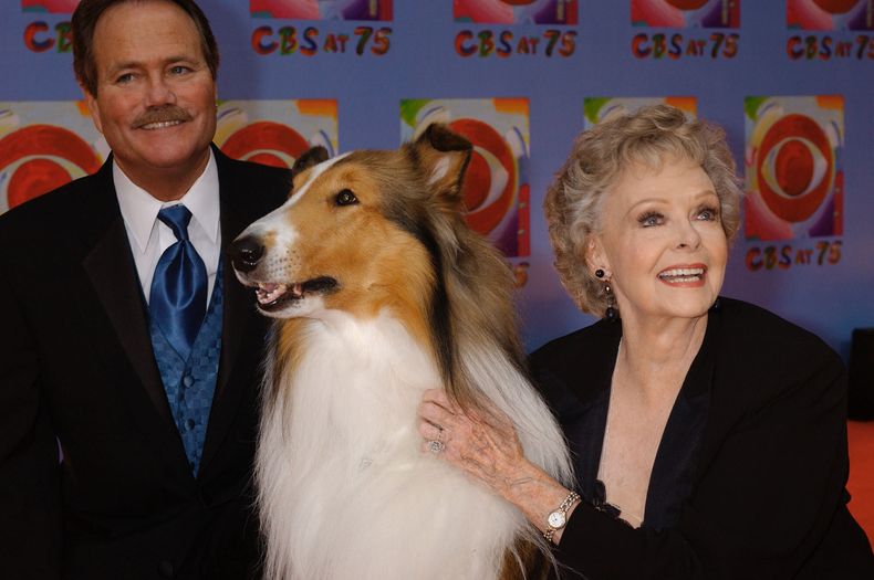 June Lockhart, a la derecha, quien interpretó el personaje de Ruth Martin, la madre de Timmy Martin, interpretado por Jon Provost, a la izquierda, durante la serie clásica Lassie posa para una fotografía con la novena generación de Lassie, el domingo 2 de noviembre de 2003, en Nueva York. (AP Foto/Louis Lanzano, Archivo)