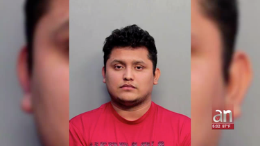 joven salvadoreno de hialeah arrestado por pornografia infantil tenia mas de 1900 videos pornograficos