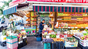 bodegas de nueva york, dispuestas a emplear miles de inmigrantes venezolanos