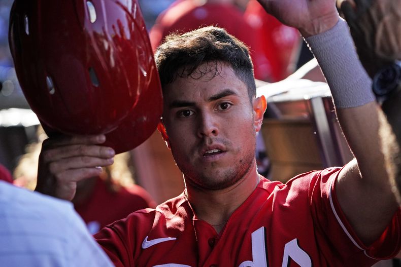 DEP-BEI ROJOS-CACHORROS