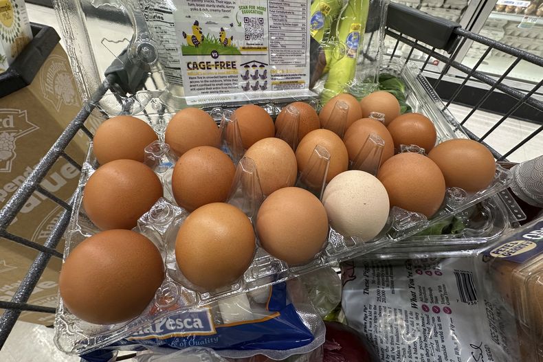 Un cartón de huevos en un supermercado en Windham, Maine el 27 de enero del 2025. (AP foto/Robert F. Bukaty)
