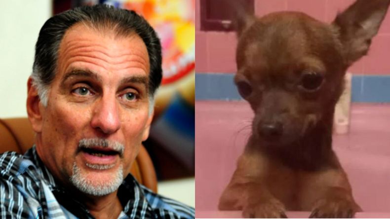 René González.jpg