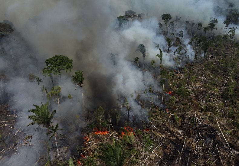 ARCHIVO - Un incendio forestal arde en la región de la carretera Transamazónica el 17 de septiembre de 2022, en el municipio de Labrea, estado Amazonas, Brasil. (AP Foto/Edmar Barros, archivo)