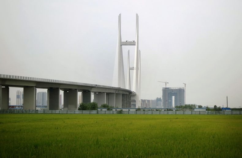 Un nuevo puente conecta Corea del Norte y China, visto desde el lado norcoreano río Yalu, el 2 de septiembre de 2014, donde pasa junto a arrozales en Sinuiju, Corea del Norte. (AP Foto, Archivo)