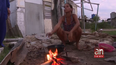 sin techo, sin electricidad y cocinando con lena: familias pinarenas abandonadas por el regimen cubano