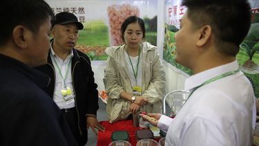China reduce compra de soya de EEUU ante amenaza arancelaria