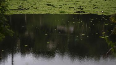 el sistema de agua potable de la aaa regresa a la normalidad tras lluvias de la tormenta tropical earl