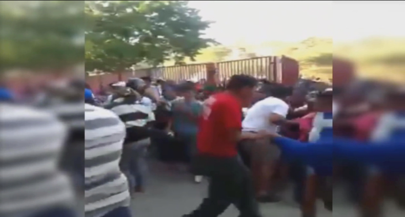 ALIMETNOS COLAS BRONCA.png