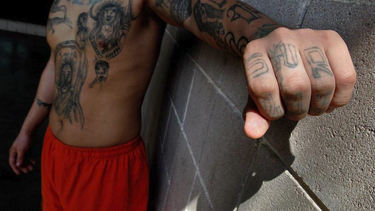 americateve | tatuajes.png