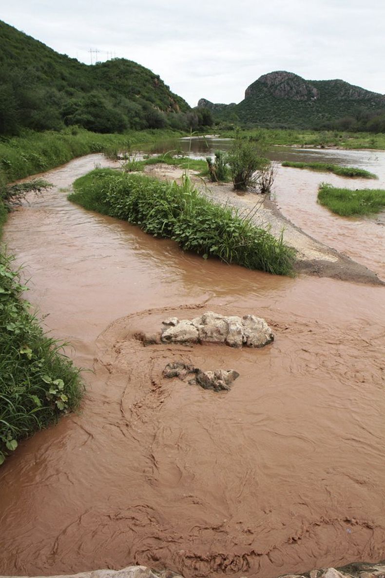 En esta fotograf&iacute;a del 14 de agosto de 2014, el contaminado r&iacute;o Sonora pasa por el pueblo de Ures, en el estado norte&ntilde;o de Sonora, M&eacute;xico. El conglomerado Grupo M&eacute;xico denunci&oacute; el jueves 21 de agosto de 2014 que e