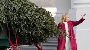 Los Biden inauguran temporada navideña con un enorme árbol