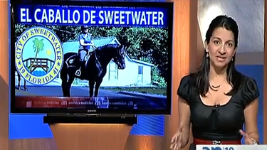 americateve | Y donde está el caballo?