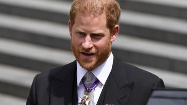 Príncipe Enrique quiere recuperar a su padre y su hermano