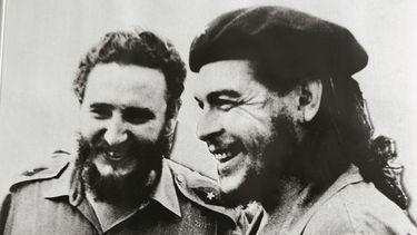 una investigacion afirma que fidel castro dejo morir al che