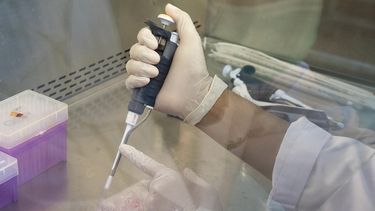 puerto rico participa en innovador estudio clinico de una nueva vacuna contra el covid-19