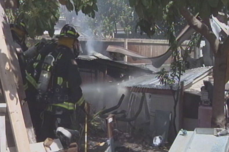 incendian criadero pollos.png