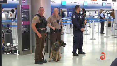 autoridades del aeropuerto internacional de miami redoblan seguridad tras violento incidente en viaje a cuba