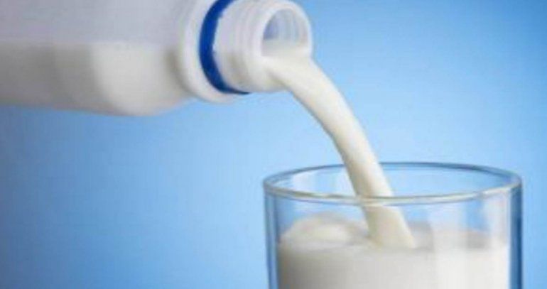 Buscan Frenar Aumento En La Leche