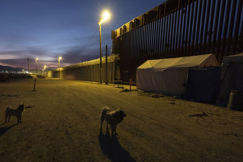 Un par de perros cerca del muro fronterizo que separa a México de Estados Unidos, el miércoles 22 de enero de 2025, en San Diego. (AP Foto/Gregory Bull)