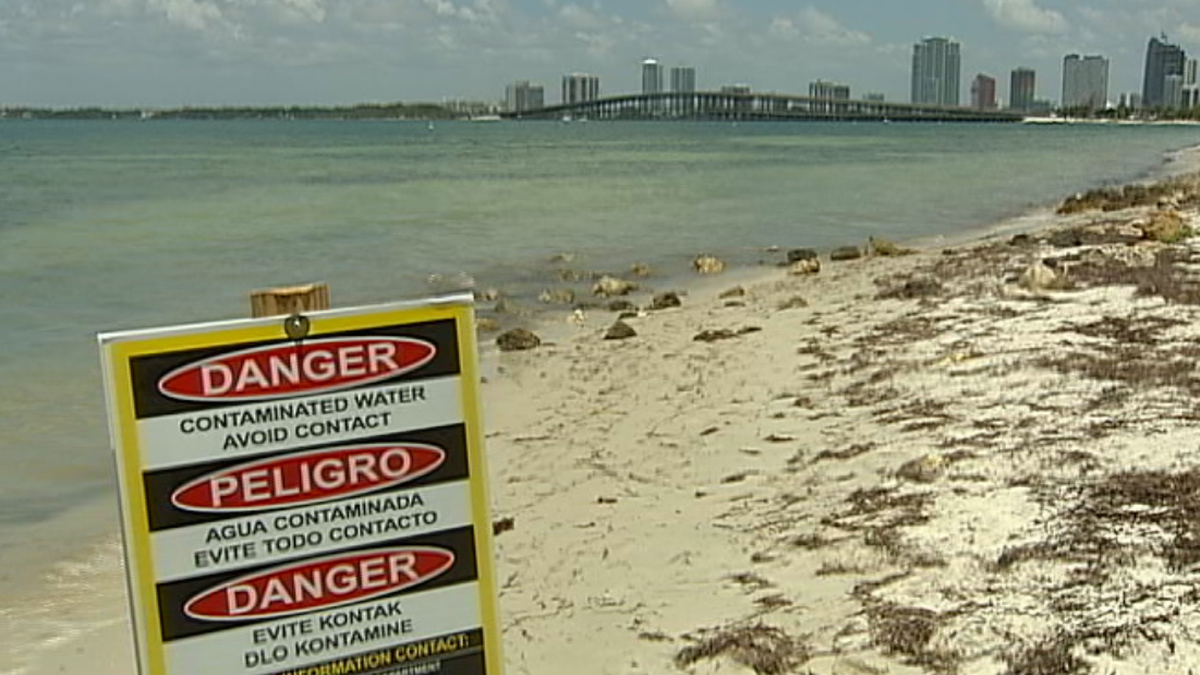 Continúa la alerta por aguas contaminadas en las playas de Miami