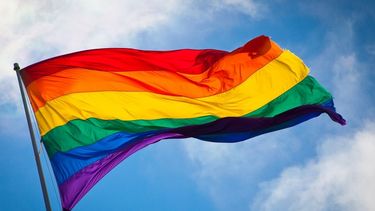 parejas del mismo sexo de la florida podran escoger el dia de su boda