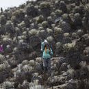 Científicos testifican el final de un glaciar en Venezuela