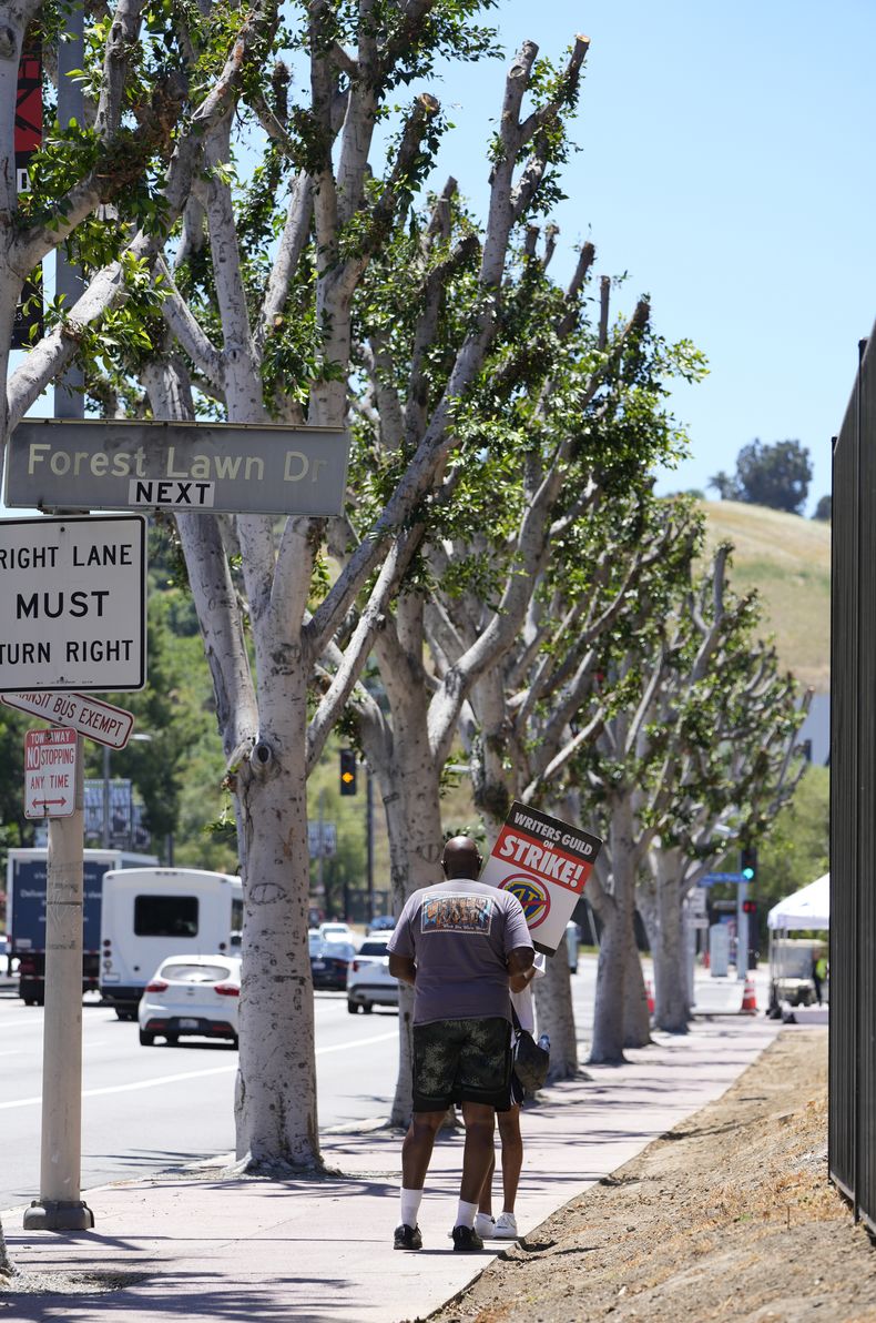 Manifestantes cerca de arboles recién podados fuera de Universal Studios el miércoles 19 de julio de 2023 en Burbank, California. (Foto AP/Chris Pizzello)