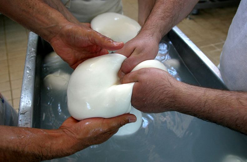 La preparación de queso mozzarela de búfalo en Caserta, Italia, en el 2006. (AP foto/Franco Castano)