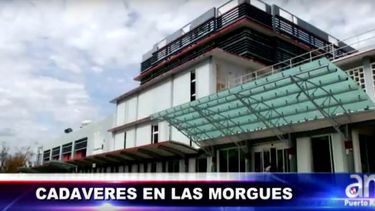 cadaveres en las morgues